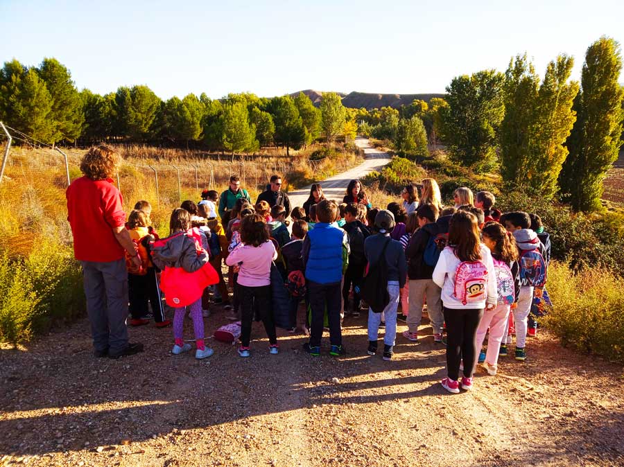 Visita guiada a la finca de Castillejos, en Guadalajara, que está gestionada por Proyecto Labor