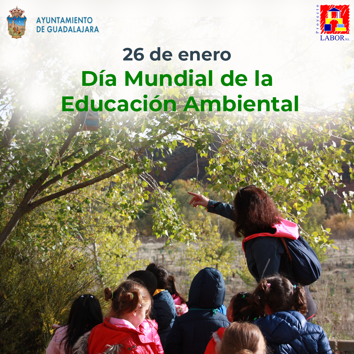 dia mundial de la educacion medioambiental